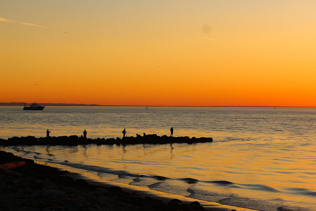 fisherman brooklyn new york seagate